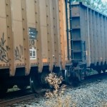 TLE FREIGHT